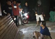 Kedapatan Curi Kabel Feeder, Pria Asal Bulak Jaya Surabaya Diciduk Polisi di Gedung Kosong