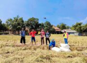 Pupuk Langka, Pemkab Bojonegoro Lempar Tanggung Jawab