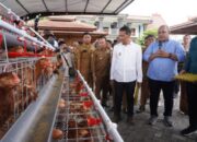 Program Gayatri, Dorong Kemandirian Ekonomi Lewat Beternak Ayam Petelur