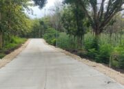 Fokus Bangun Jalan, Pemkab Bojonegoro Dorong Konektivitas dan Pertumbuhan Ekonomi Daerah