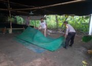 Polisi Gerebek Lokasi Sabung Ayam di Nganjuk, Arena Judi Dibongkar