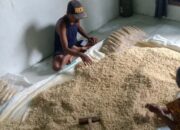 Harga Kedelai di Bojonegoro Melonjak, Penjual Tempe Kedungadem Putar Otak Cari Solusi