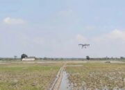 Drone Gratis untuk Petani Bojonegoro, Penyemprotan Kini Lebih Canggih dan Aman