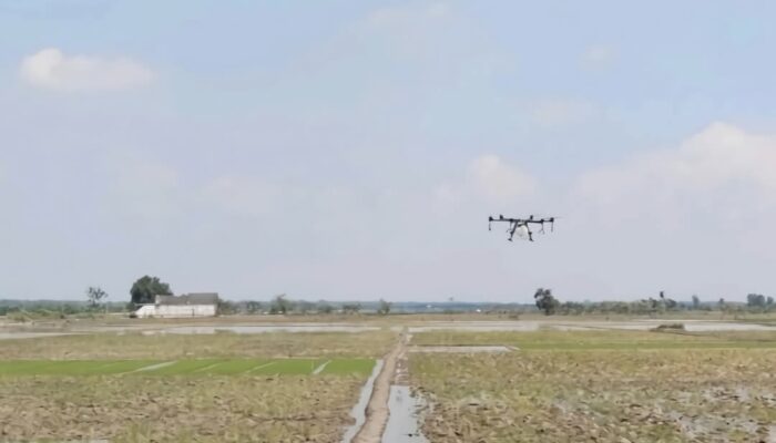 Drone Gratis untuk Petani Bojonegoro, Penyemprotan Kini Lebih Canggih dan Aman