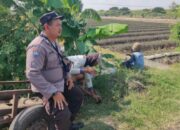 Dukung Ketahanan Pangan, Polsek Lengkong Terjun Langsung Pantau Sawah Warga