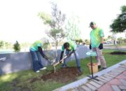 Wali Kota Batu Tanam Cemara, Hijaukan Kenjeran