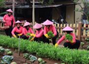 Bhayangkari Bojonegoro Panen Sayuran, Dorong Ketahanan Pangan Lewat Program P2L