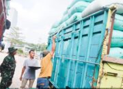 Babinsa Kodim Bojonegoro Aktif Dampingi Penyerapan Gabah