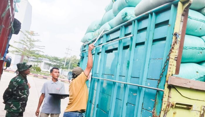 Babinsa Kodim Bojonegoro Aktif Dampingi Penyerapan Gabah