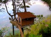 5 Spot Hits di Malang Bikin Feed Instagram Makin Estetik