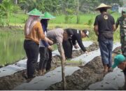 Desa Pungpungan, TNI-Polri dan Warga Bersatu Ubah Lahan Kosong Jadi Lumbung Sayur Mandiri