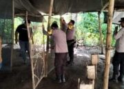 Sabung Ayam Terendus, Polisi Nganjuk Langsung Bertindak