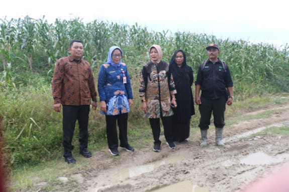 Img 20250517 Wa0000