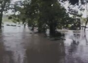 Sungai Gandong Meluap, Desa Ngrejeng Bojonegoro Lumpuh