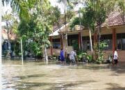 Sungai Kruwul Meluap, Dua Desa di Lamongan Dikepung Genangan Air 