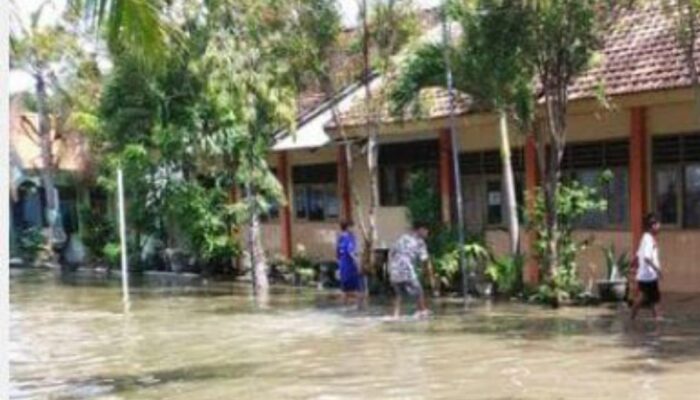 Sungai Kruwul Meluap, Dua Desa di Lamongan Dikepung Genangan Air 
