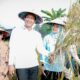 Img 20250519 Wa0042