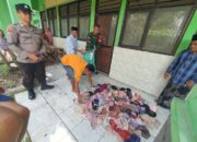 Viral Penemuan Aneh di SDN Krangkong Bojonegoro, Isinya Ratusan Kutang