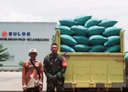Bulog Serap Ribuan Kg Gabah di Bojonegoro, Ini Peran Penting Babinsa
