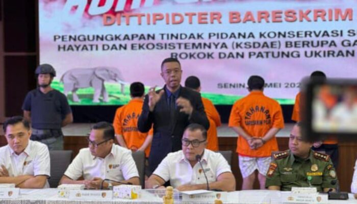 Gading Gajah Dijual Online, Polri Tangkap 2 Pelaku di Sukabumi dan Jakarta