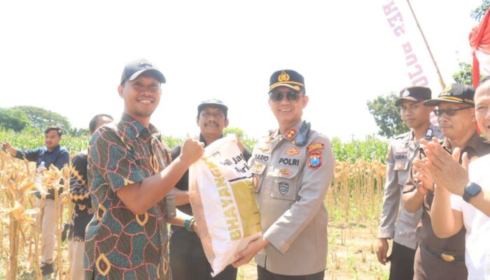 Polres Bojonegoro Ikut Panen Jagung, Siap Kawal Swasembada Pangan