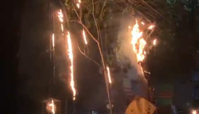 Kabel Telkom di Talun Bojonegoro Dilalap Api, Diduga Gara-Gara Ini