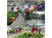 Wisata Alam dan Edukasi di Gresik, BanyuUrip Mangrove Center