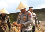 Bukan Cuma Amankan Kota, Polres Malang Kini Panen Jagung