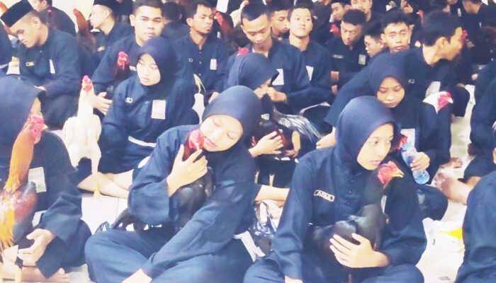 SH Terate Cabang Surabaya Gelar Cek Jago Jelang Pengesahan