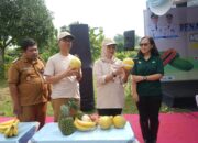 Pemkab Bojonegoro Gandeng Swasta, Lahan Tidur Disulap Jadi Ladang Uang
