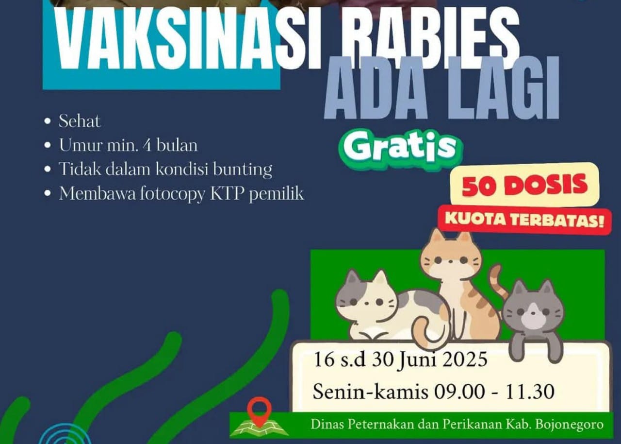 Img 20250611 wa0000