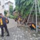Img 20250613 wa0038
