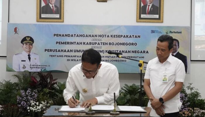 Potensi Rp Miliaran! Hutan Bojonegoro Resmi Digarap Bersama Perhutani