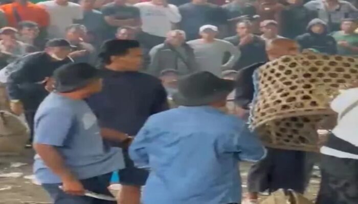 Duel Maut di Arena Sabung Ayam Bali, Satu Tewas Satu Sekarat