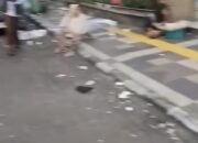 3 Ton Sampah Menumpuk Usai Haul Habib Abu Bakar di Gresik