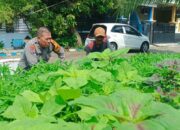 Bhabinkamtibmas Polsek Sedati Kunjungi Lahan Kangkung yang Tumbuh Subur, Dukung Ketahanan Pangan Warga