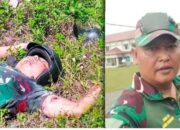 Duka di Papua, Serka Segar Gugur Ditembak Kelompok Bersenjata