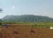 Kisah Agung Masa Silam, Gunung Gondomayit dan Gunung Bret