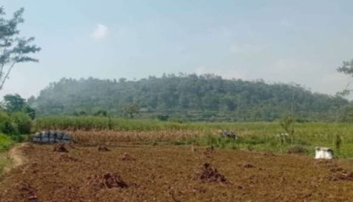Kisah Agung Masa Silam, Gunung Gondomayit dan Gunung Bret