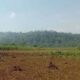 Img 20250623 wa0046