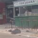 Img 20250626 wa0012