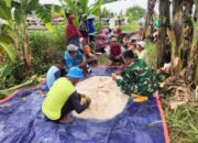 Tak Cuma Jaga NKRI, TNI Juga Jaga Sawah Warga Lamongan dari Tikus