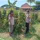 Img 20250629 wa0083