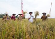 Syukuran Wiwit Massal di Sukosewu, Pemerintah Bojonegoro Siapkan Gebrakan Pertanian 2025