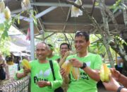 Jagongan Asyik di Kebun Belimbing, Bupati Bojonegoro Ajak Milenial Jadi Pengusaha Tani