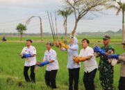 Burung Hantu Dilepas di Sawah Bojonegoro, Tikus Ketar-Ketir