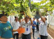 Wisata Pertanian Modern Bojonegoro: Edukasi dan Teknologi Menyatu