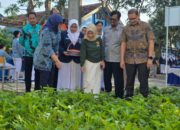 Diresmikan Disdik Jatim, SMA Ini Jadi Contoh Ketahanan Pangan Nasional