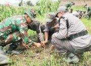Satgas TMMD Bojonegoro Hijaukan Desa Soko dengan Ribuan Pohon