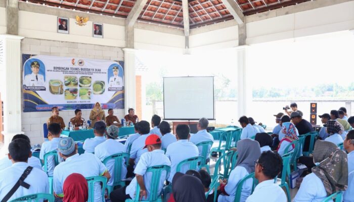Kolega, Program Unggulan Bupati Bojonegoro untuk Tekan Kemiskinan